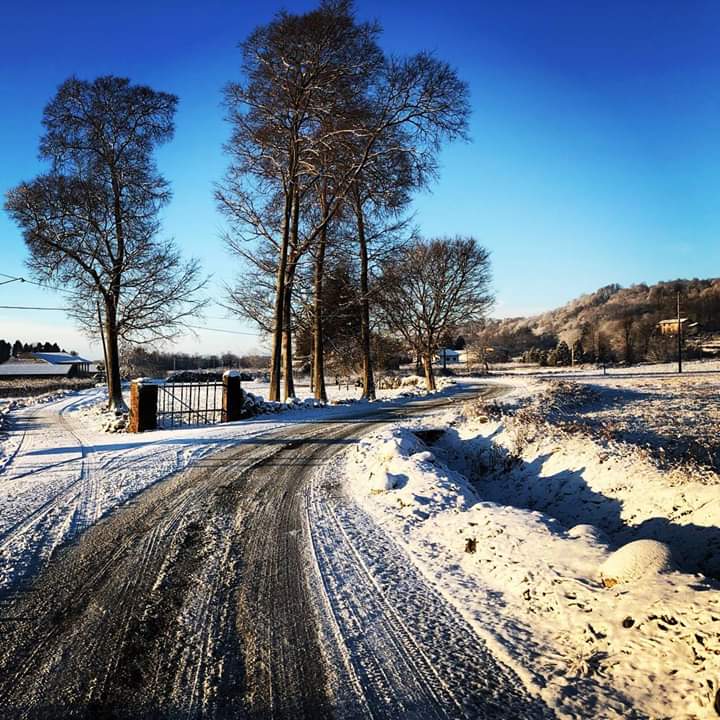 Strada di campagna con neve