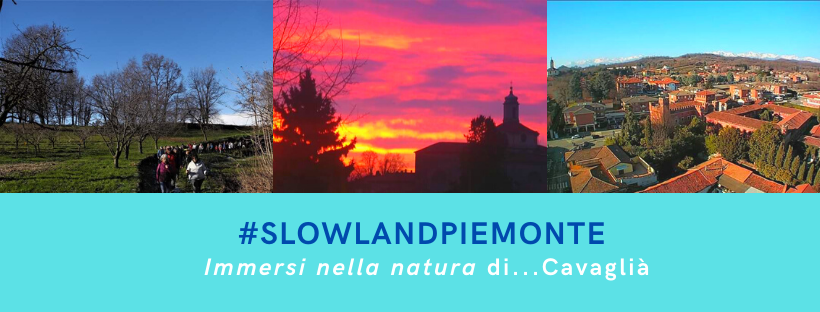 Slowland Cavaglià