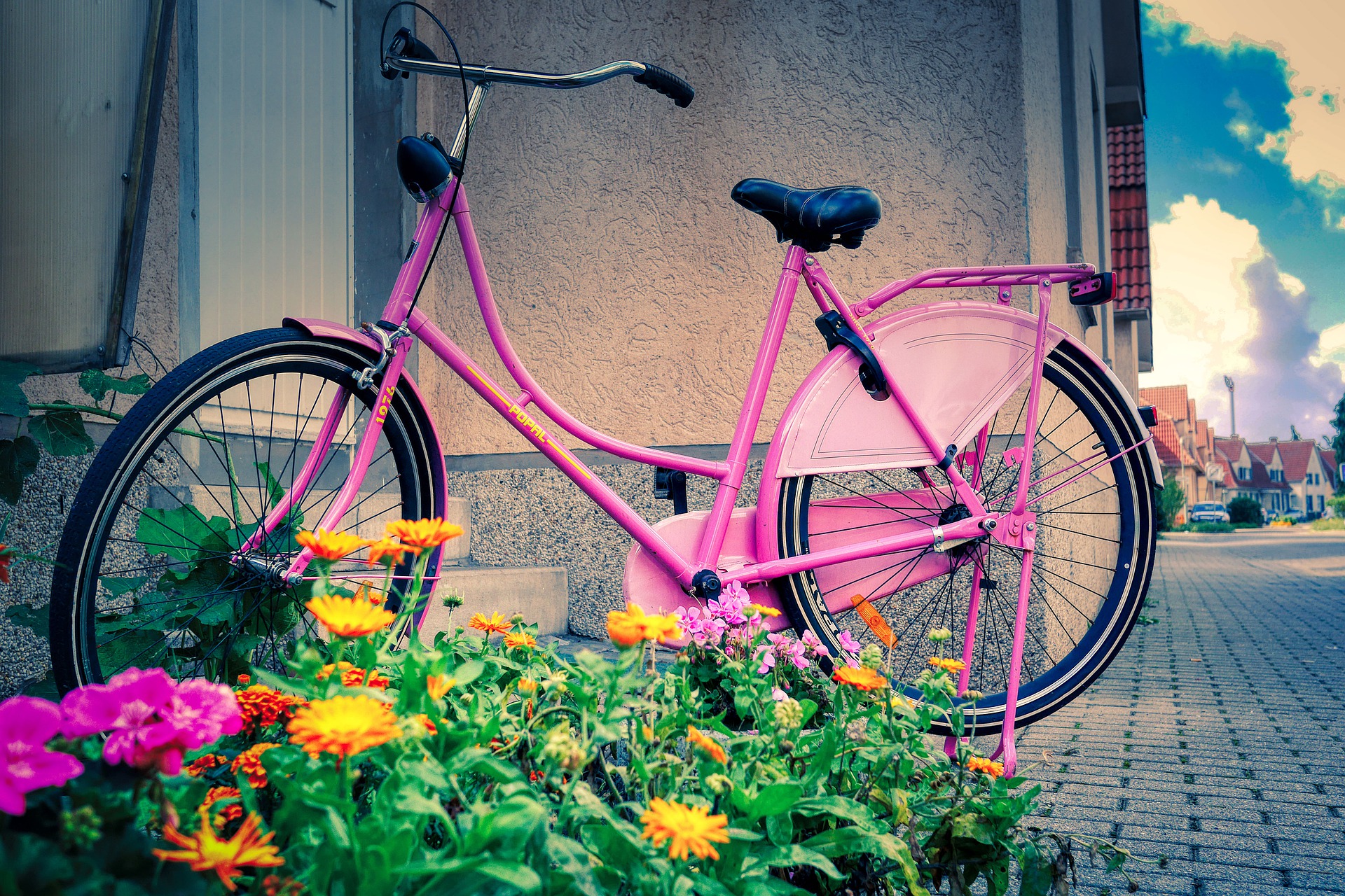 Bici, fiori, decoro