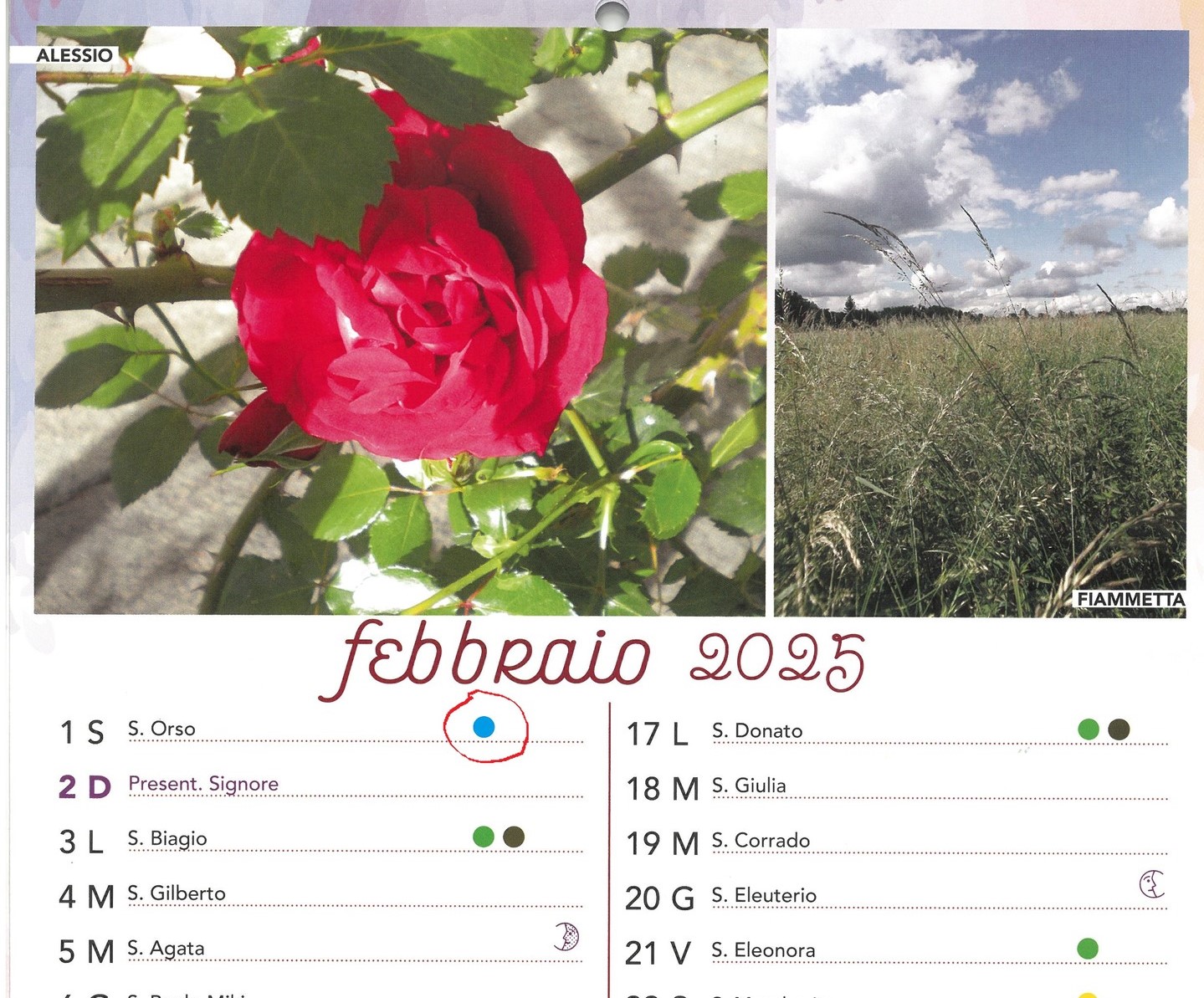 Febbraio 2025