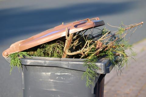 Nuovi orari per il conferimento del verde