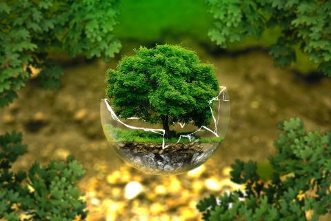 Giornata dell'ambiente