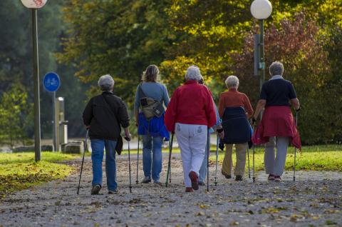 Un corso per diventare "conduttore di cammino"